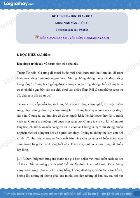 Đề kiểm tra giữa học kì II Ngữ văn 11 - Đề số 7 có lời giải chi tiết